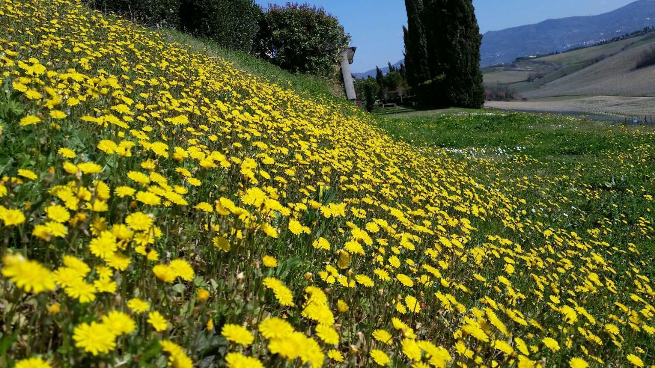 Casale Di Valle Vinci Exterior photo